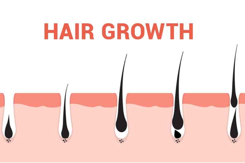 Hair growth