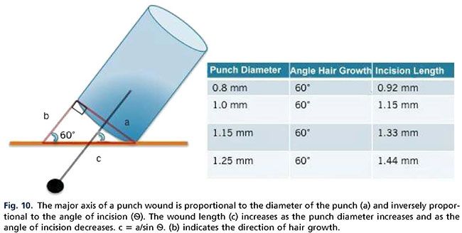 fig10