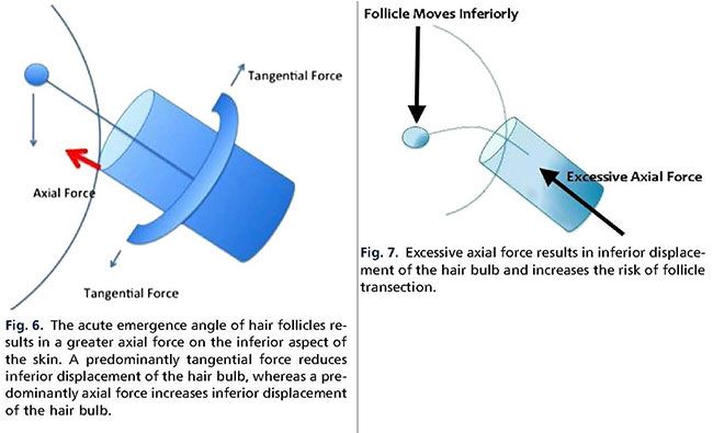 fig 6-7