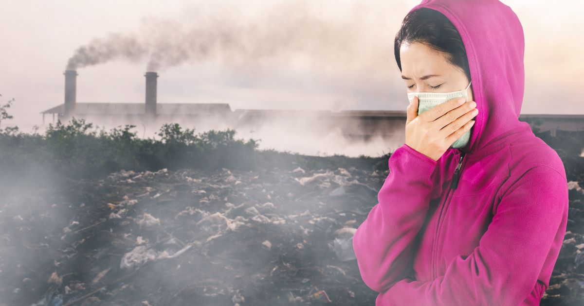 Little did we know, pollutants greatly damage our hair.