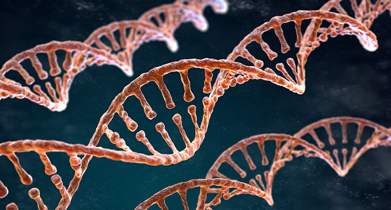 DNA